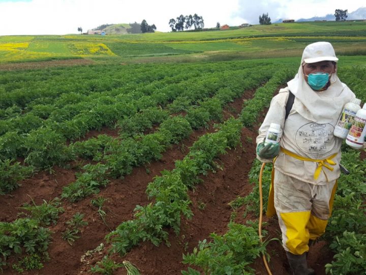 Aplicación de producto Agrodiser en campo